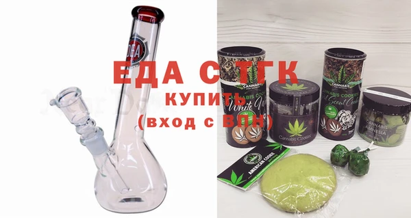 индика Алексин