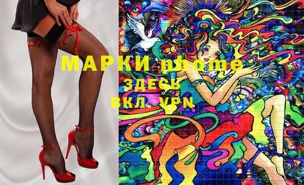 индика Алексин