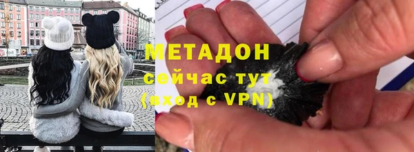 индика Алексин
