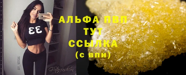 индика Алексин
