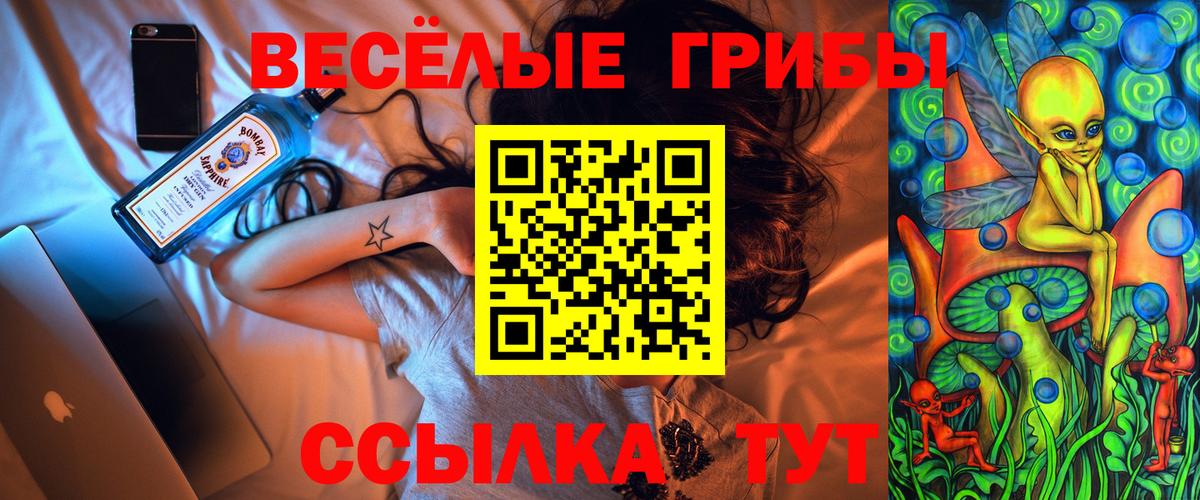 Галлюциногенные грибы GOLDEN TEACHER  Вход с VPN  Хабаровск  Галлюциногенные грибы Magic Shrooms 